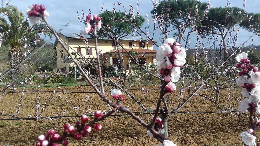 Agriturismo Val Di Nappo Castiglione della Pescaia Bagian luar foto